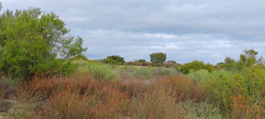 0 Bedroom Property for Sale in Redelinghuys Western Cape